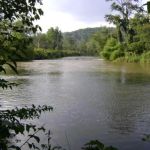 New River Park Campground - Newport Virginia