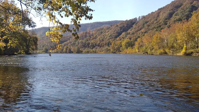 Gentrys Landing Campsite Picture 8