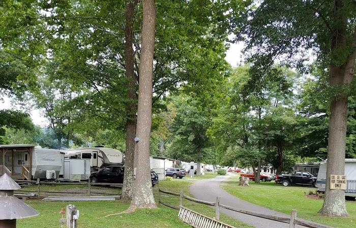 Gentrys Landing Campsite Picture 7