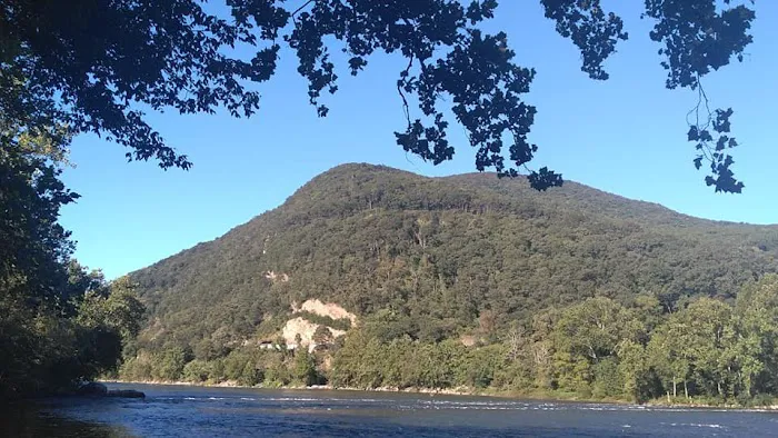 Larry's Landing Campground Picture 9