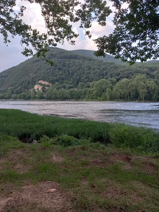 Larry's Landing Campground Picture 3