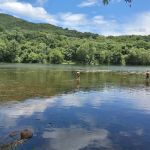 Larry's Landing Campground