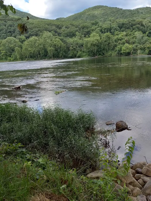 Larry's Landing Campground Picture 2