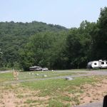 Camp Floppy Fish