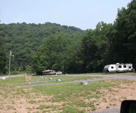Camp Floppy Fish