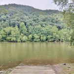 Meadow Creek Campground