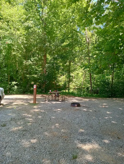 Paradise Lake and Campground Picture 5