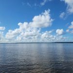 Goose Creek State Park Tent Campground