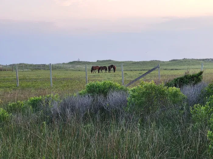 Pamlico Sea Base | BSA Picture 7