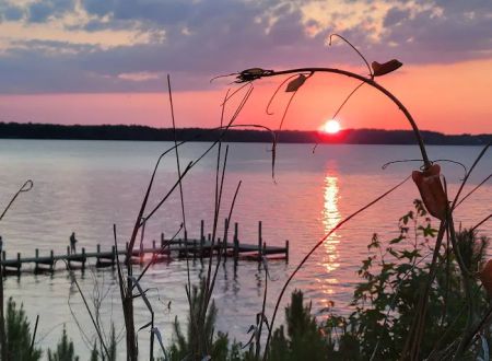 Pamlico Sea Base | BSA