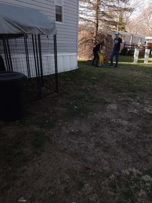 South Bluff Picture 4