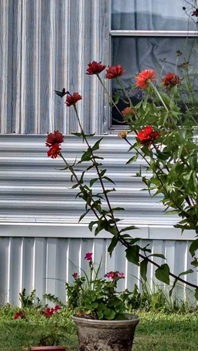 Green Acres Mobile Home Park Picture 9