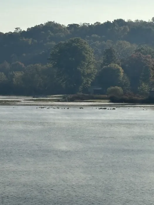 Lakeland Beach Park Picture 3