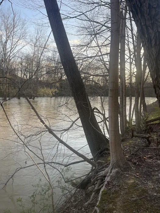 Camp Tonawanda Picture 8