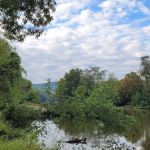 Last of the Mohicans Campground, LLC