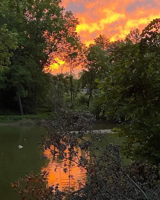 Last of the Mohicans Campground, LLC Picture 10