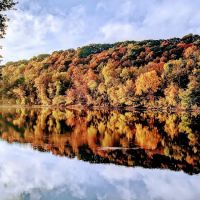 Miller's Landing Campground ico