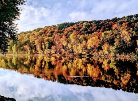Miller's Landing Campground