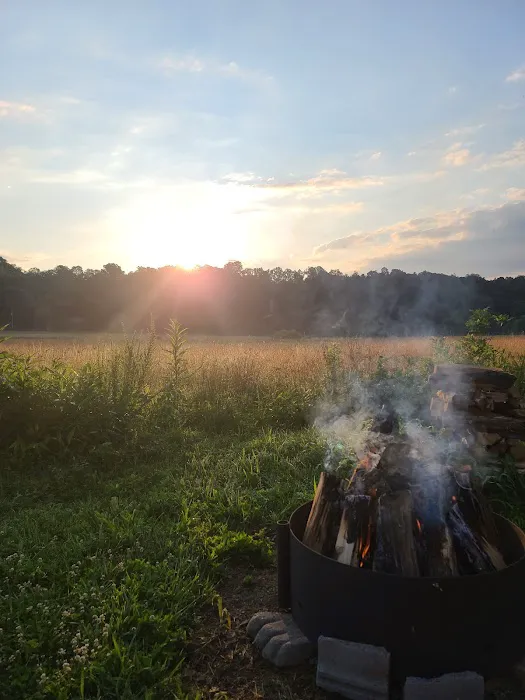Blue Heron Campground Picture 2