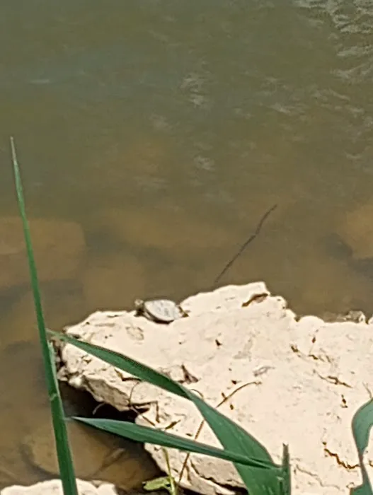 RiverView Kampground and Marina Picture 2