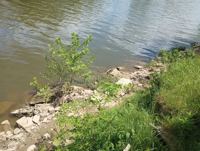 RiverView Kampground and Marina Picture 10