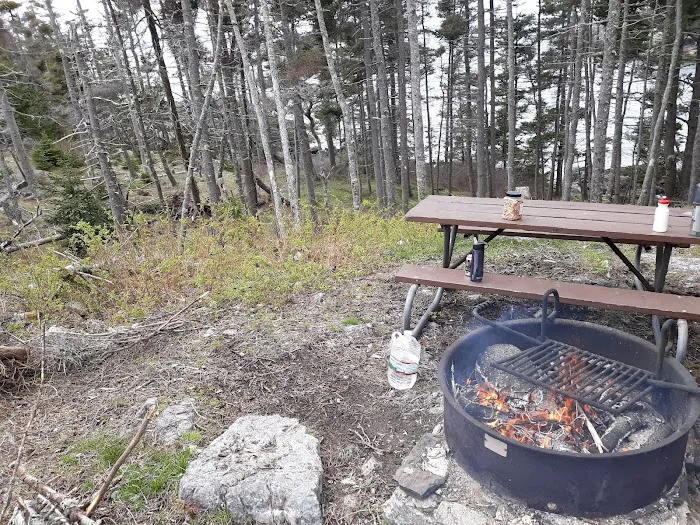 Duck Harbor Campground Picture 4