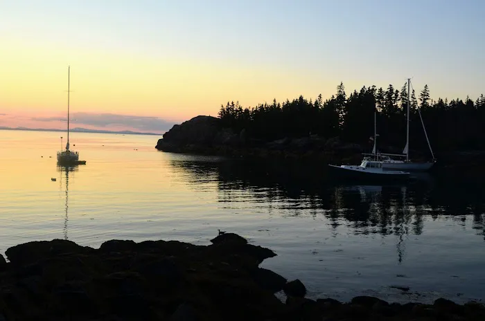 Duck Harbor Campground Picture 6