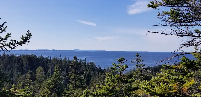 Duck Harbor Campground Picture 2
