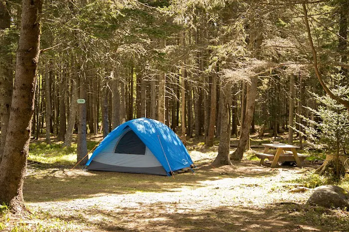 Bass Harbor Campground Picture 7