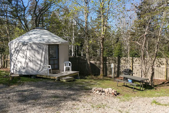 Bass Harbor Campground Picture 6