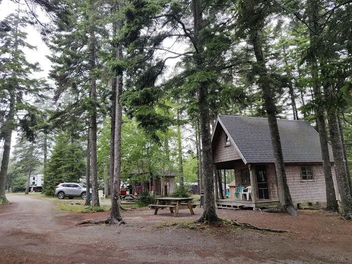 Bass Harbor Campground Picture 3