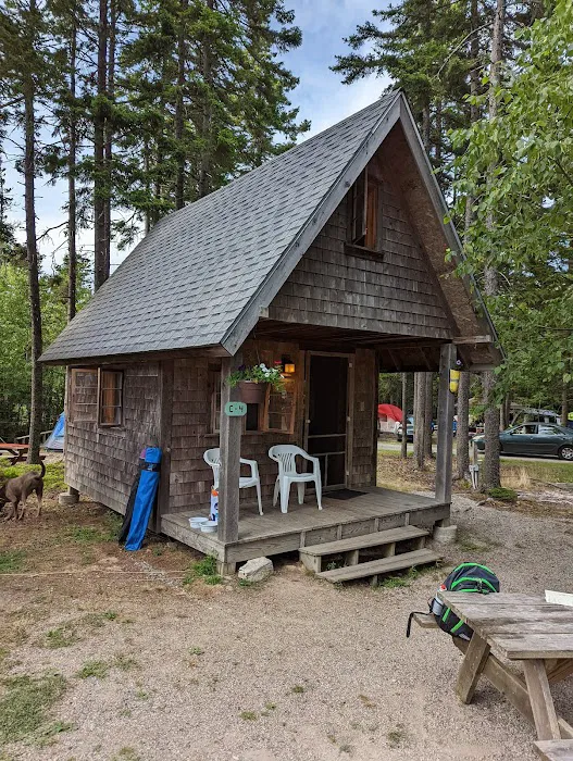 Bass Harbor Campground Picture 9