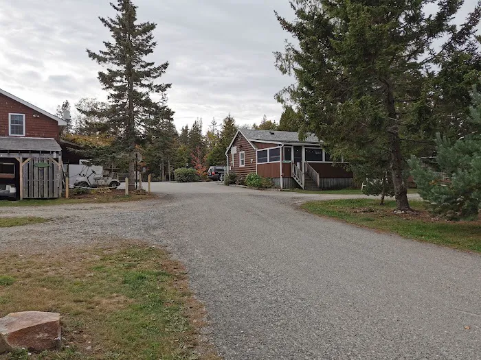 Bass Harbor Campground Picture 10
