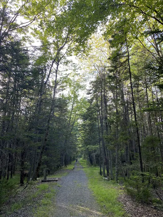 Seawall Campground Picture 10