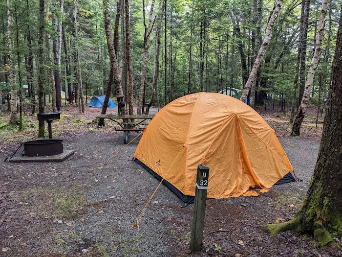 Seawall Campground Picture 2