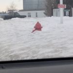 Evansville Mobile Home Park