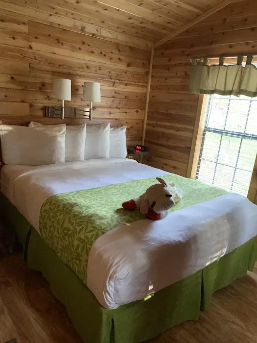 Bar Harbor / Oceanside KOA Holiday Picture 3