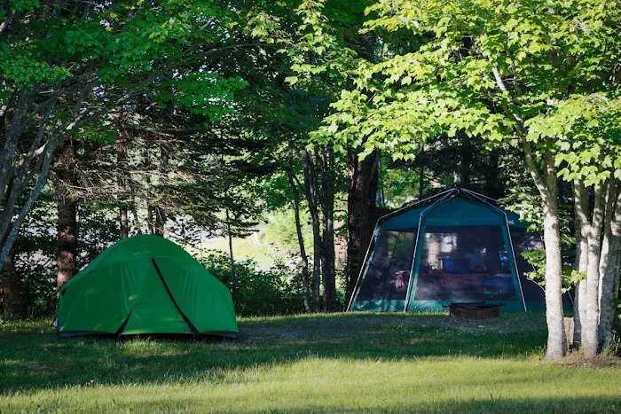 Mt Desert Narrows Campground Picture 8