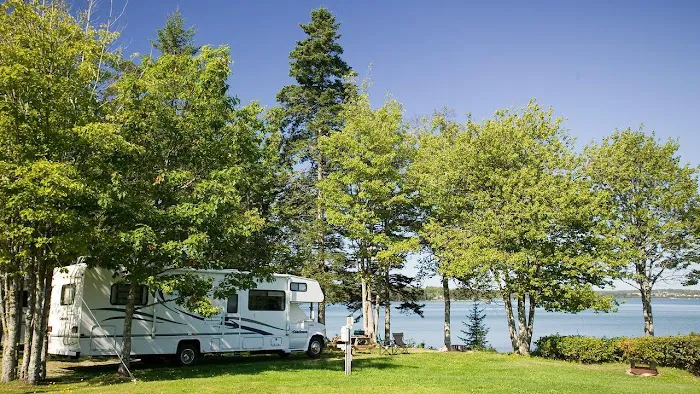 Mt Desert Narrows Campground Picture 5