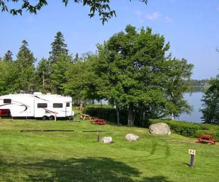 Mt Desert Narrows Campground
