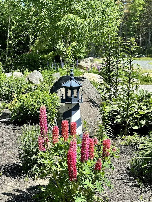 Forest Ridge Campground Picture 5