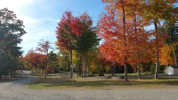 Forest Ridge Campground Picture 2
