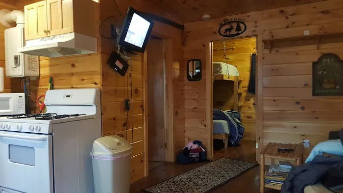 Point Passadumkeag River Cabins Picture 1
