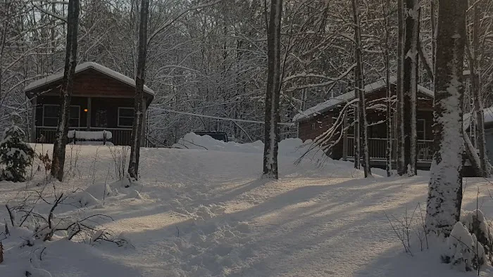 Point Passadumkeag River Cabins Picture 4
