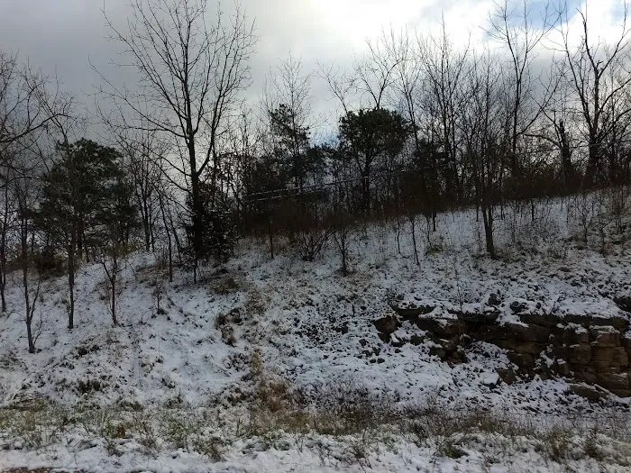 Bay View Heights Picture 6
