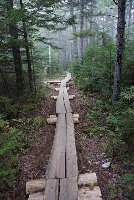 Wilderness Edge Campground Picture 9
