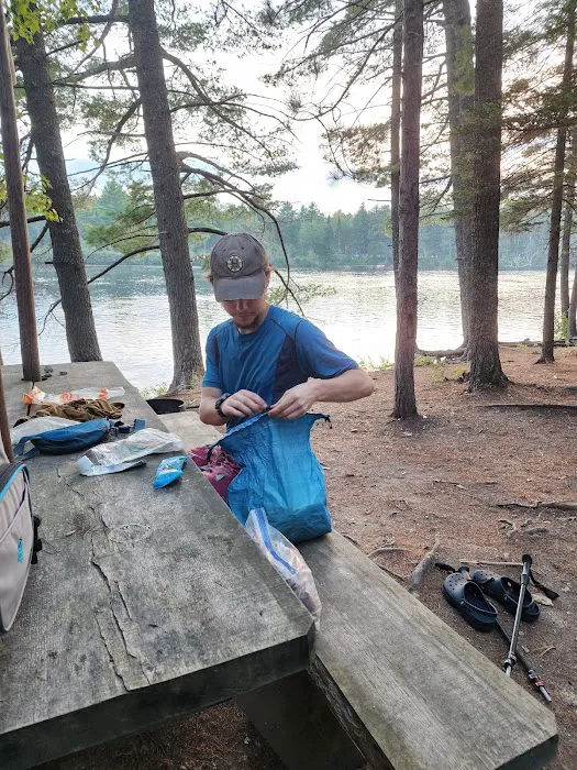 Abol Pines State Campsite Picture 4