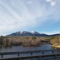Abol Pines State Campsite ico