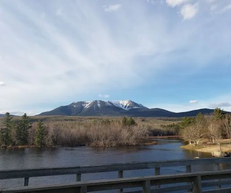 Abol Pines State Campsite