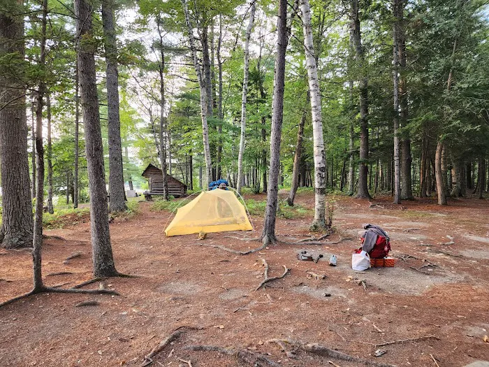 Abol Pines State Campsite Picture 6